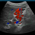 Group photo of Interesting & Instructive Cases